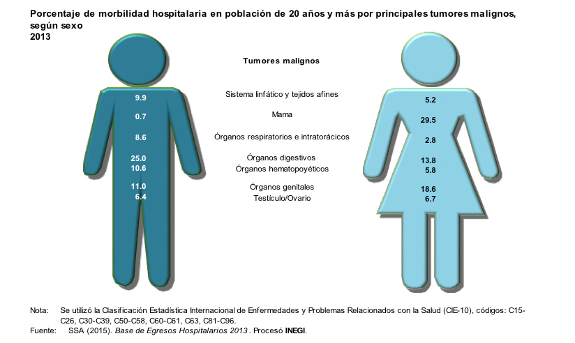 Grafica tumores malignos 16 02