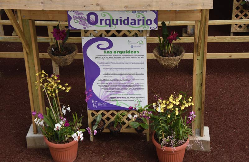 Orquidario INECOL 1