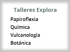 Talleres Explora