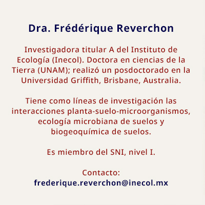 Dra. Frederique Reverchon 1516 A