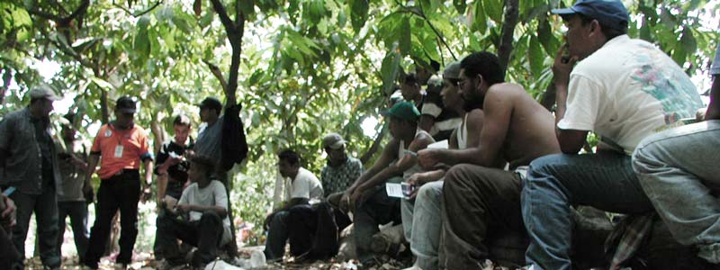 banner migrantes frontera sur mexico alfonso caraveo colef01