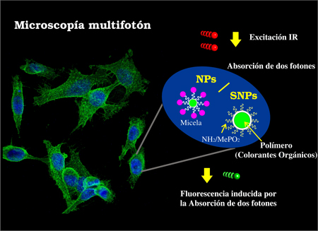 proyecto nanoparticula microscopia