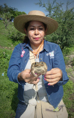 guadalupe bustos zagal