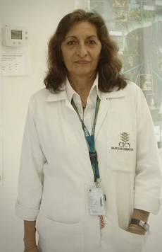 maria teresa pulido