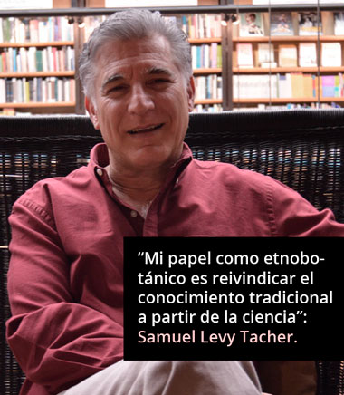 recuadro samuel levy02