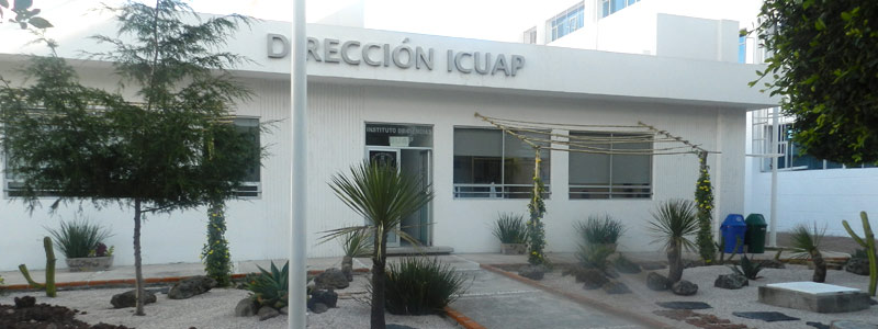 1 HEAD icuap1701