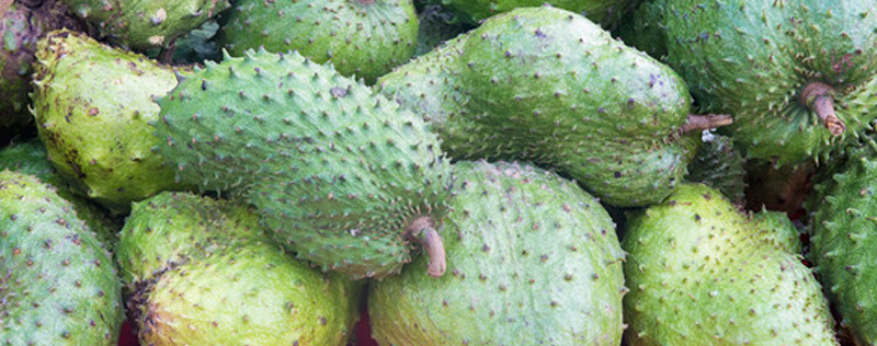 HEAD guanabana