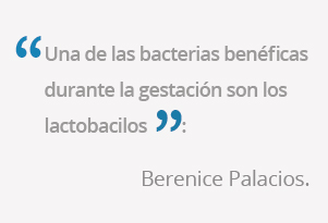 frases 1 berenice 906