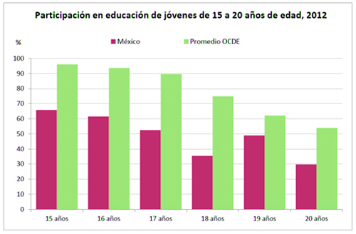 grafica educacion 15 20 anosb