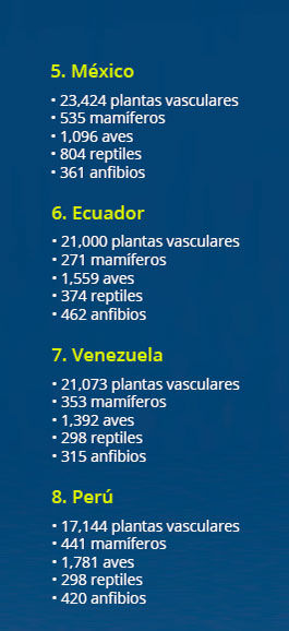 recuado biodiversidad mundo02