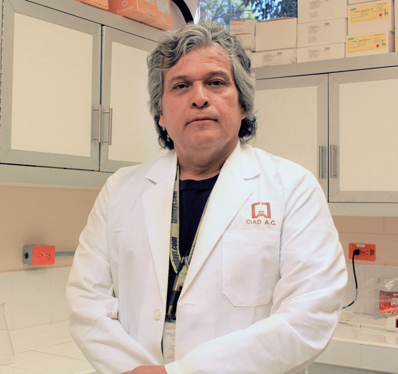 Dr Martin Tiznado Hernandez profesor investigador responsable del Laboratorio de Fisiologia Bioquimica y Biologia Molecular de Plantas 2