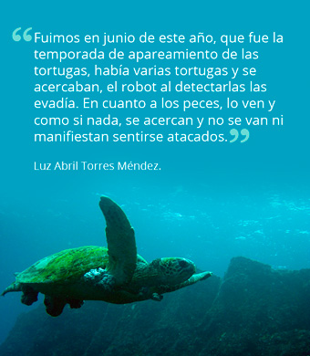 frase luz abril torres mendez